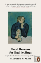Good Reasons For Bad Feelings