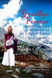 Goodbye Forever - Volume Ii: Miscellaneo