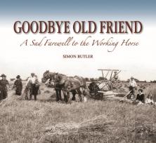 Goodbye Old Friend