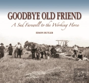 Goodbye Old Friend