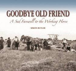 Bertrand.pt - Goodbye Old Friend