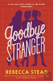 Goodbye Stranger
