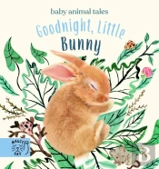Goodnight, Little Bunny