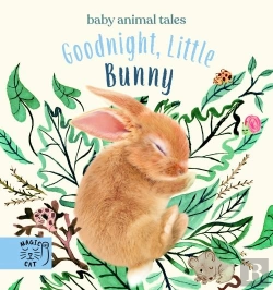 Bertrand.pt - Goodnight, Little Bunny