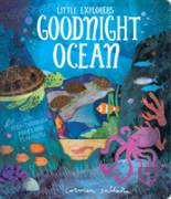 Goodnight Ocean