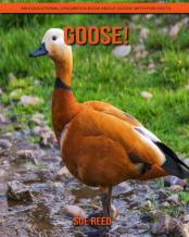 Goose! An Educational Children'S Book About Goose With Fun Facts
