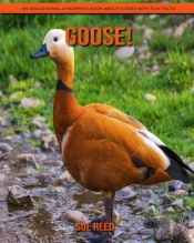 Goose! An Educational Children'S Book About Goose With Fun Facts