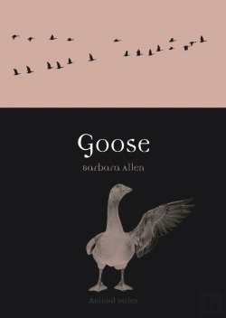 Bertrand.pt - Goose