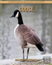 Goose