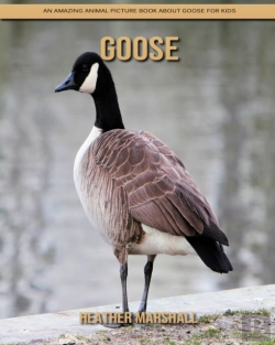 Bertrand.pt - Goose