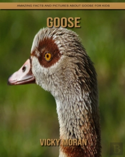 Bertrand.pt - Goose