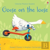 Goose On The Loose