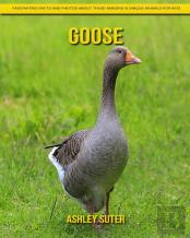 Goose
