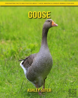 Bertrand.pt - Goose