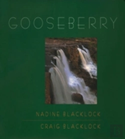 Bertrand.pt - Gooseberry
