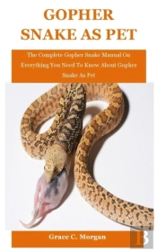 Gopher Snake As Pet