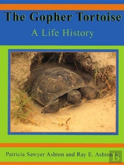 Bertrand.pt - Gopher Tortoise