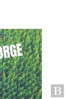 Gorge