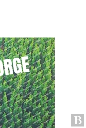 Gorge