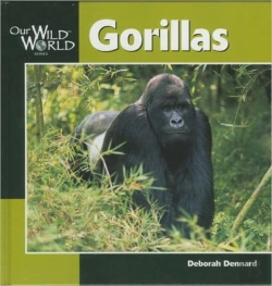 Bertrand.pt - Gorillas