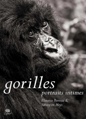 Gorilles ; Portraits Intimes