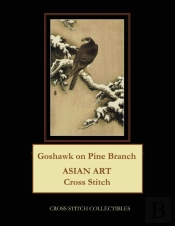 Goshawk On Pine Branch