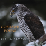 Goshawk Poems