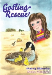 Gosling Rescue