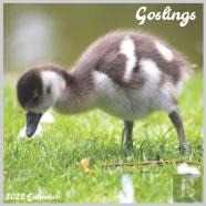 Goslings 2022 Calendar