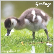 Goslings 2022 Calendar