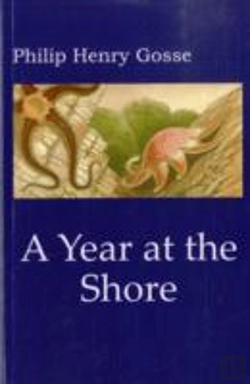 Bertrand.pt - Gosse'S A Year At The Shore