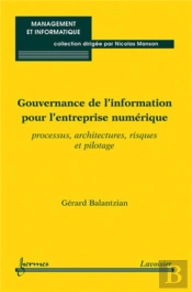 Gouvernance De L'Information Pour L'Entreprise Numérique : Processus, Architectures, Risques Et Pilotage