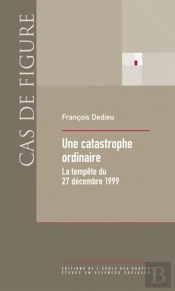 Gouverner Par Gros Temps ; Autopsie Organisationnelle De La Tempête Du 27 Décembre 1999