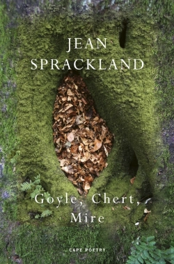 Bertrand.pt - Goyle, Chert, Mire