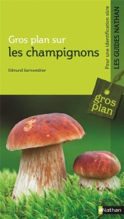 Gp Les Champignons
