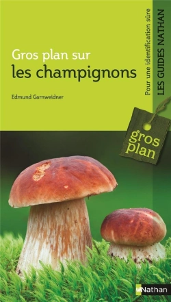 Bertrand.pt - Gp Les Champignons