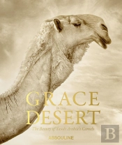 Grace In The Desert - The Beauty Of Saudi Arabia'S Camels