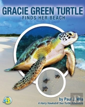 Gracie Green Turtle Finds Her Beach