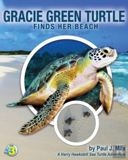 Bertrand.pt - Gracie Green Turtle Finds Her Beach