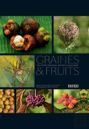 Graines Et Fruits