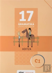 Gramatika Lan-Koadernoa 17 Aditza
