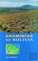 Gramineas De Bolivia