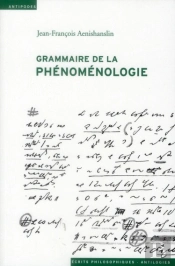 Grammaire De La Phénoménologie
