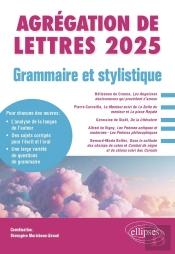 Grammaire Et Stylistique : Agrégation De Lettres 2025 ; Hélisienne De Crenne, Les Angoisses Douloureuses