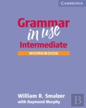 Grammar In Use  Intermediate Workbook Without Answers