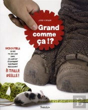 Grand Comme Ça !?