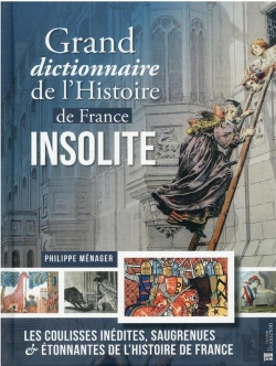 Bertrand.pt - Grand Dictionnaire De L'Histoire De France Insolite - Les Coulisses Inedites, Saugrenues & Etonnante
