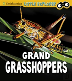 Bertrand.pt - Grand Grasshoppers