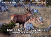 Grande Faune En Cevennes
