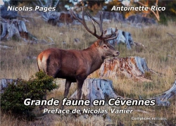 Bertrand.pt - Grande Faune En Cevennes